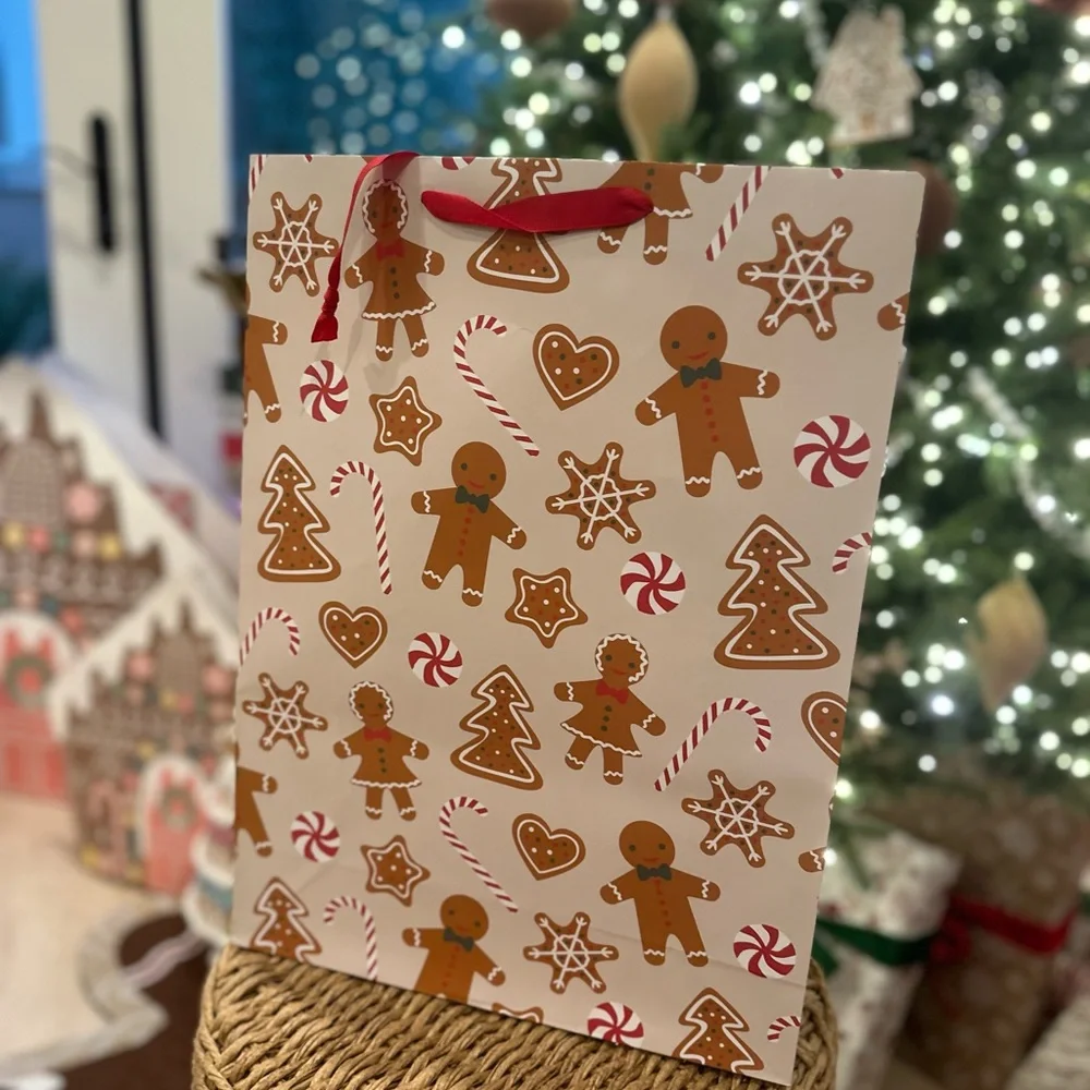5 X Target dollar spot bullseye wondershop gingerbread man girl gift bag